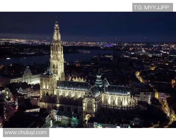 惠灵顿与布里斯班12的精彩对决分析及赛季展望